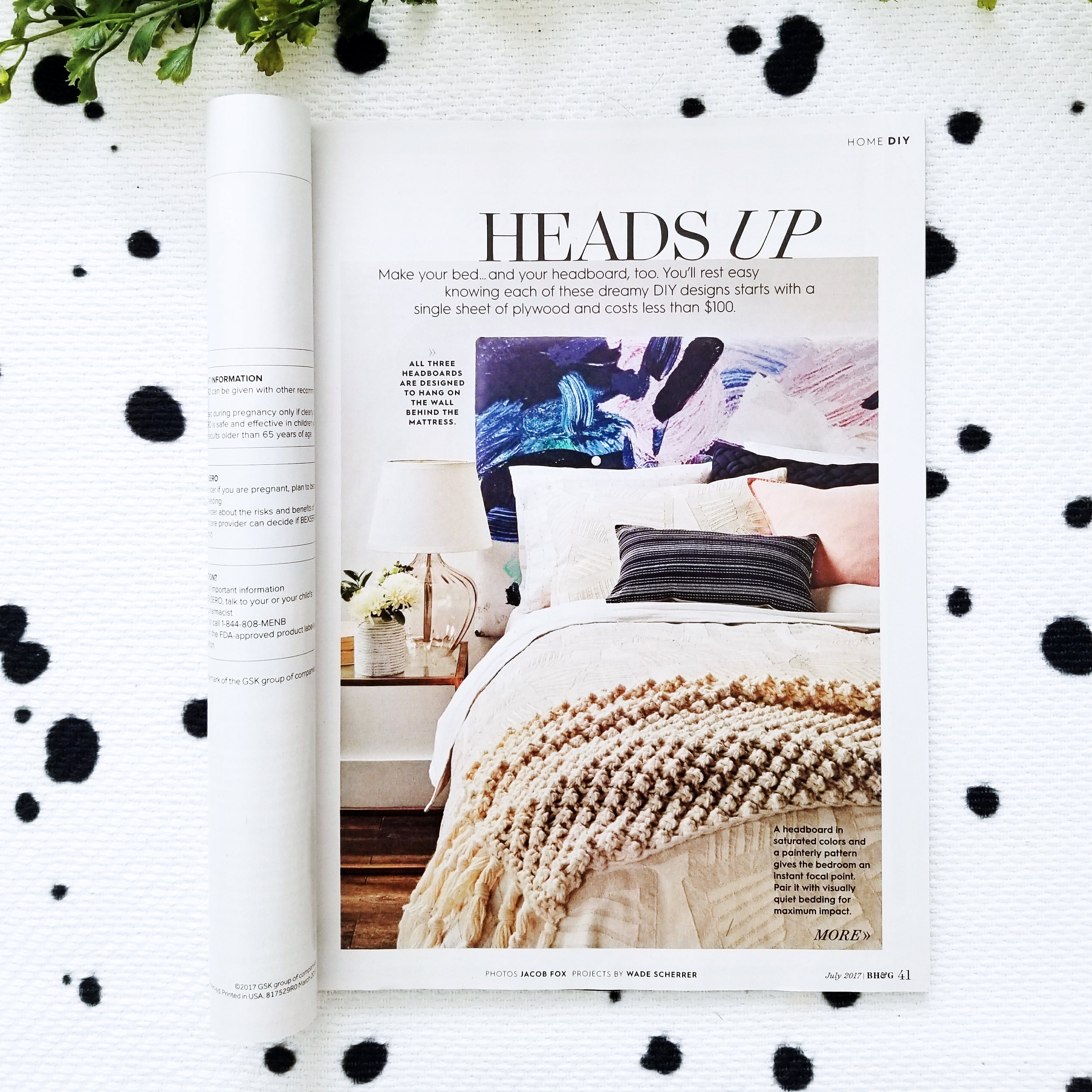 Palette No.17 Tapestry in Better Homes and Gardens Magazine