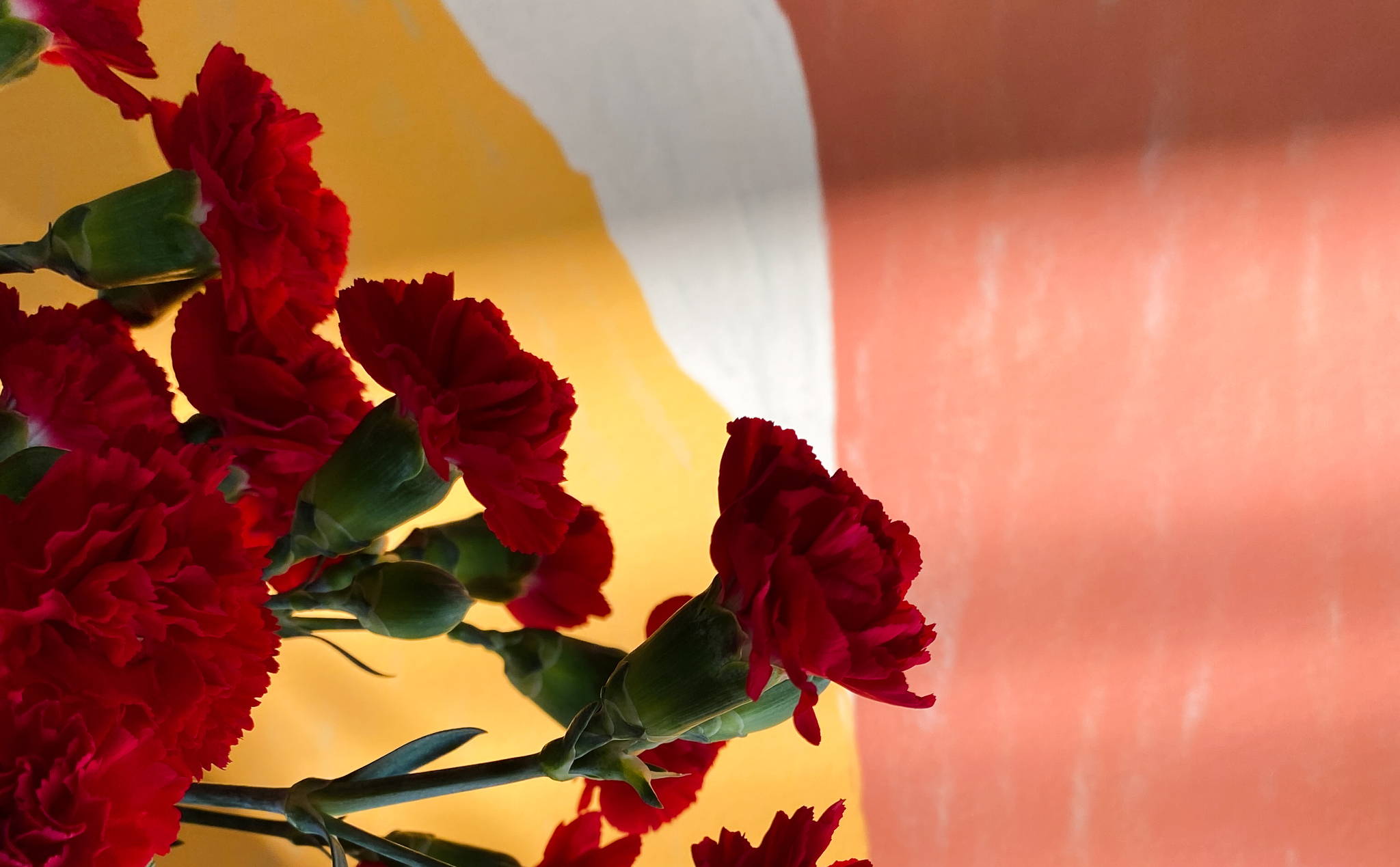 Color Field Series - Exploring nature and texture