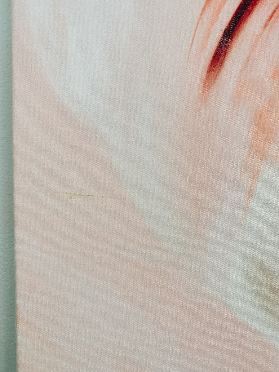 Zinnia, colorful abstract wall art by Parima Studio